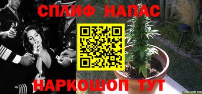 эйфоретик Краснодар